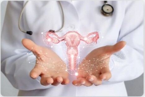 Urogynecology: Bridging the Gap in Women's Heal... main image