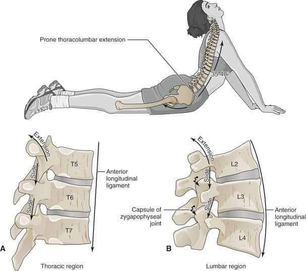Physiotherapy clinic in Tambaram
Are you Looking f... main image