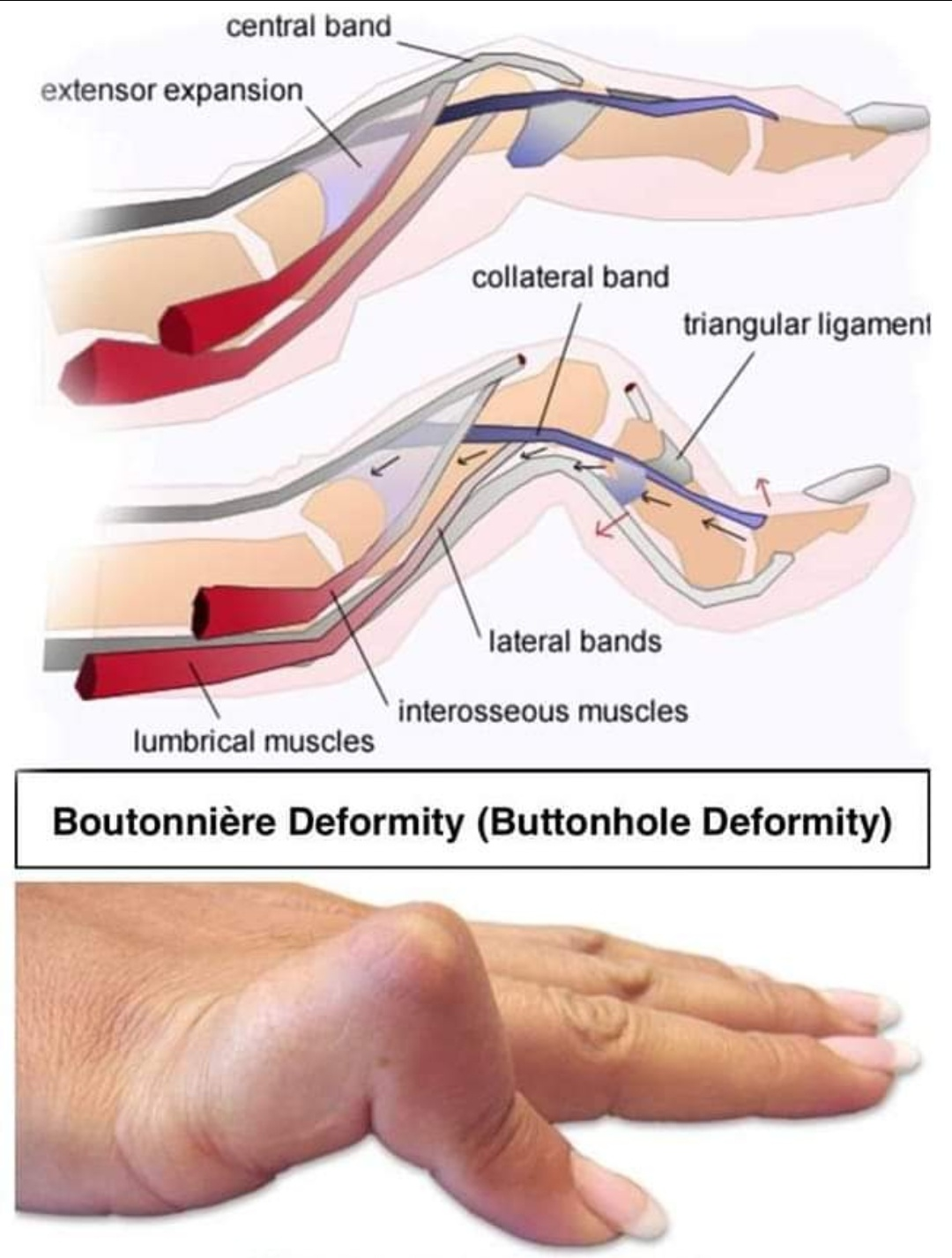 Physiotherapy clinic in Tambaram
Are you Lookin... main image