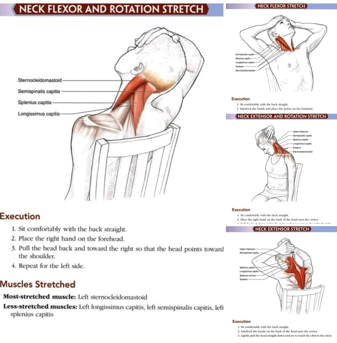 If you're looking for top-notch physiotherapy trea... main image