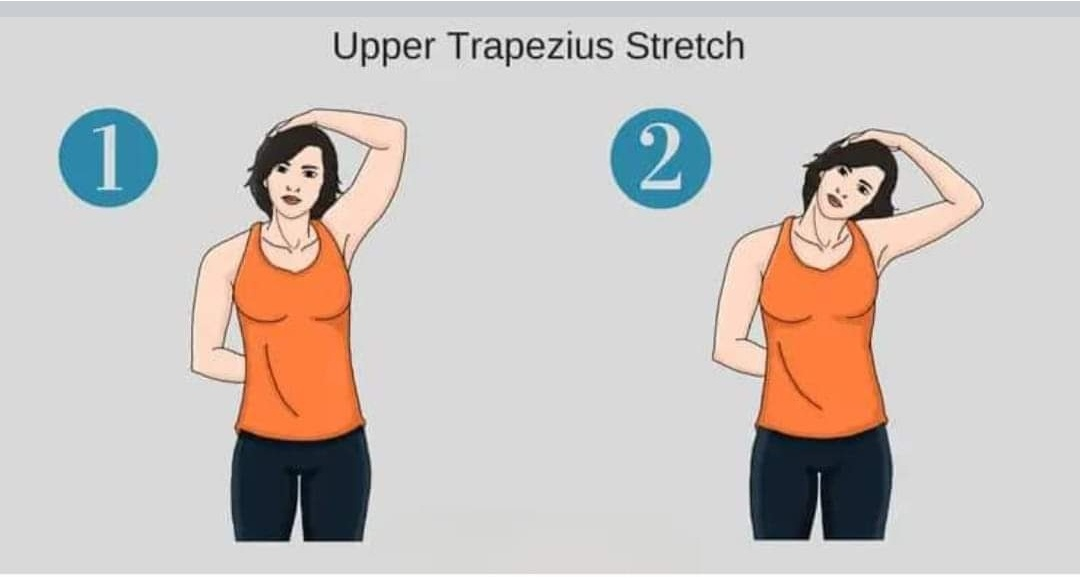 Physiotherapy clinic in Tambaram
Are you Looking f... main image