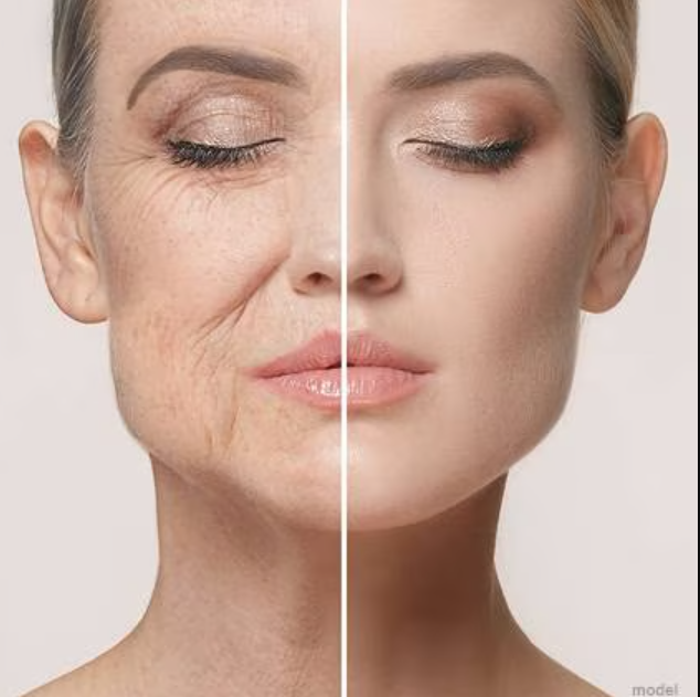 Recent advancements integrate Ayurveda with eviden... main image