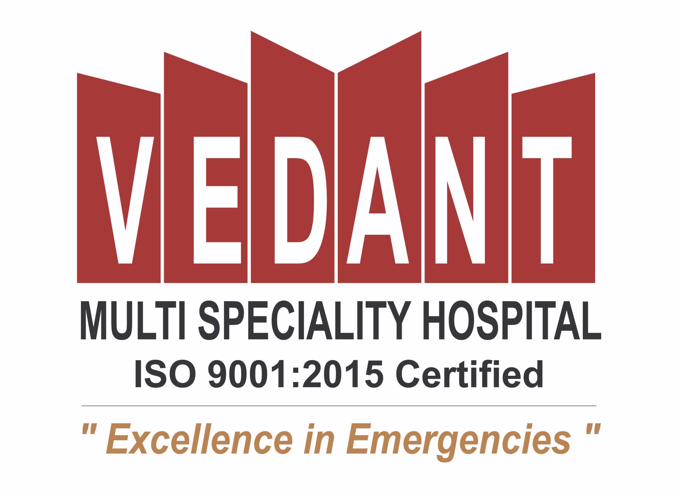 Best Hip and Knee Joint Replacement Surgery in ... main image