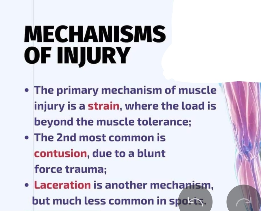 Physiotherapy clinic in Tambaram
Are you Looking f... main image