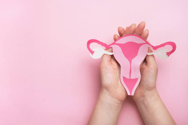 Specialized Gynaecology Services at Ojas Multis... main image