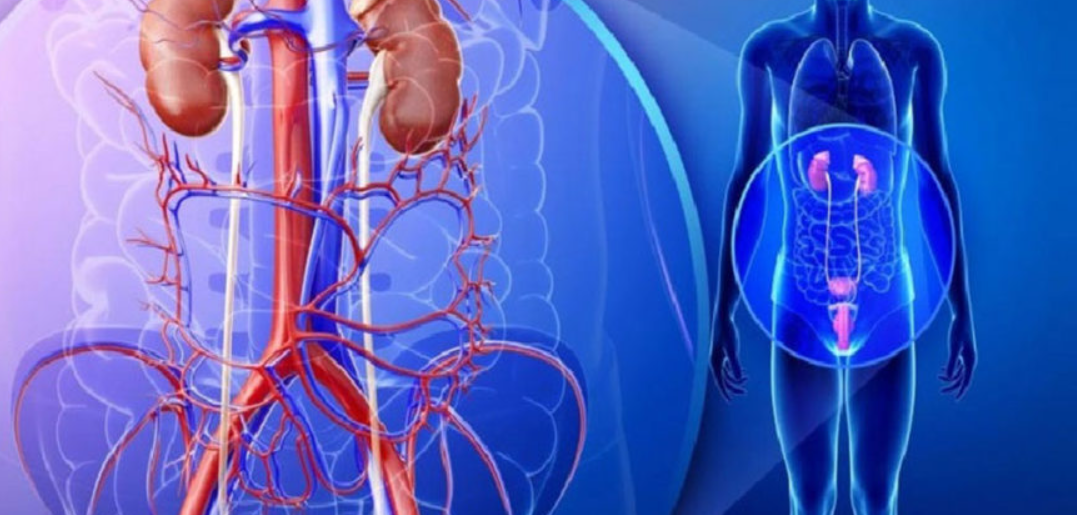 Cutting-Edge Urology Solutions at Medinova Super S... main image