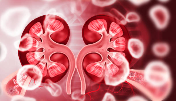 Comprehensive Surgical and Medical Care at S A ... main image