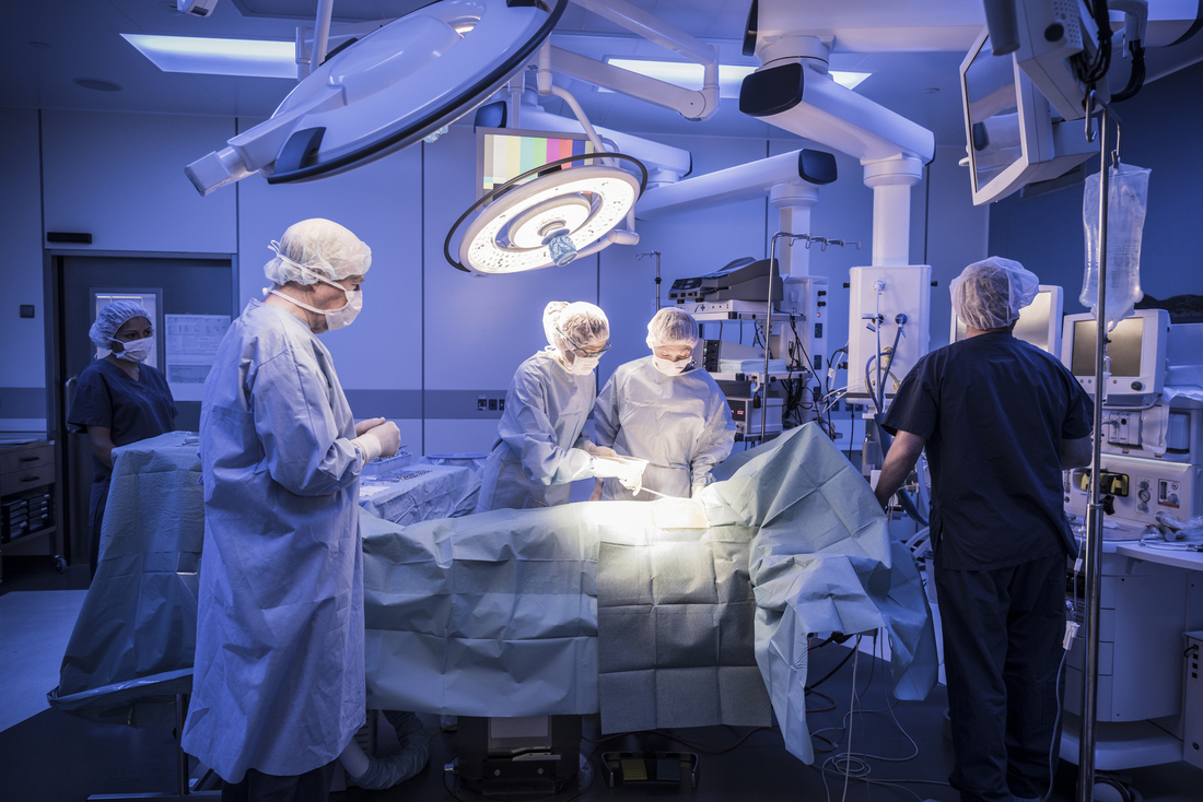 
Comprehensive Trauma Care at Ojasmultispeciali... main image