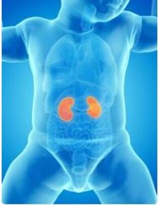 LifeShell Hospital: Ensuring Pediatric Wellness... main image
