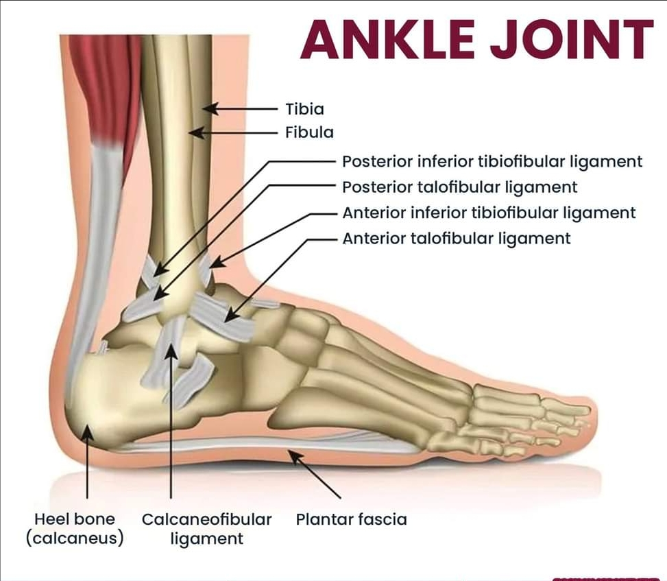 Physiotherapy clinic in Tambaram
Are you Looking f... main image