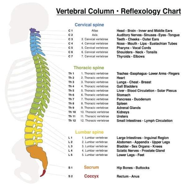 Physiotherapy clinic in Tambaram
Are you Lookin... main image