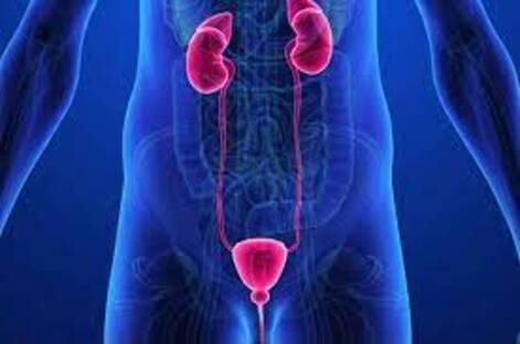 LifeShell Hospital: Bridging Gaps in Urogynecol... main image