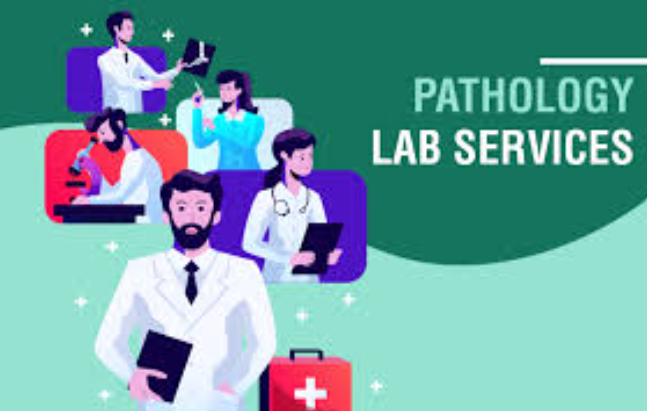 Precision Pathology Lab Services at Ojasmultisp... main image