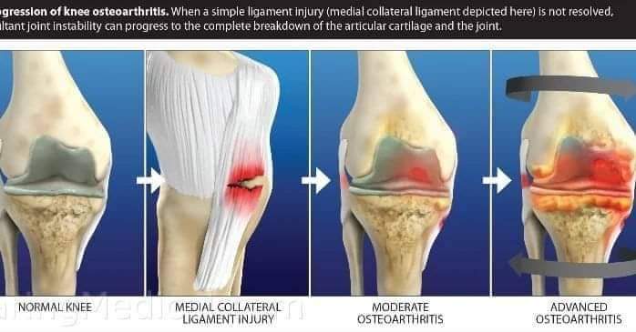 Physiotherapy clinic in Tambaram
Are you Lookin... main image