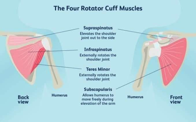 Physiotherapy clinic in Tambaram
Are you Looking f... main image