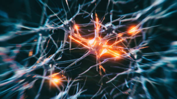 Multidisciplinary Neurological Care at S A Hosp... main image