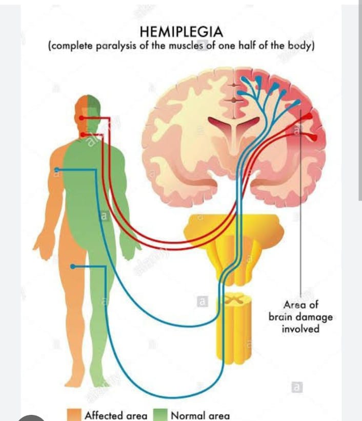 Integrity Hospital understands the complexities... main image