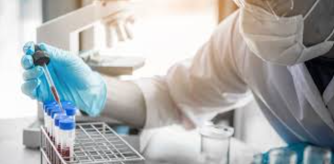 Comprehensive Diagnostic Services at Ojas Multi... main image
