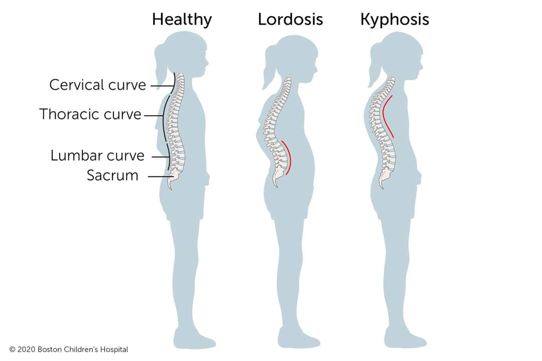 Physiotherapy clinic in Tambaram
Are you Looking f... main image