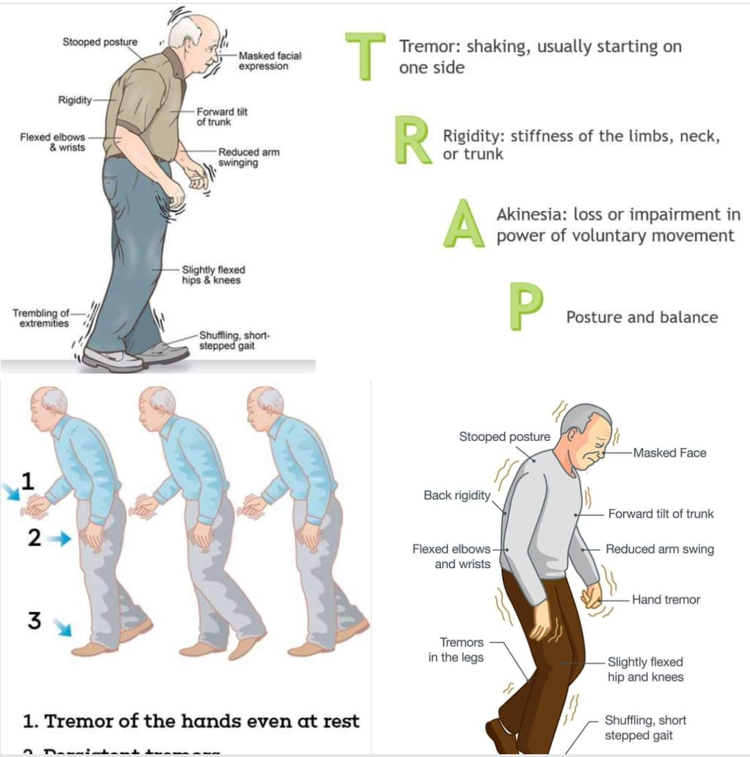 Physiotherapy clinic in Tambaram
Are you Lookin... main image