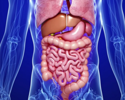 Gastroenterology Excellence at Medinova Super Spec... main image