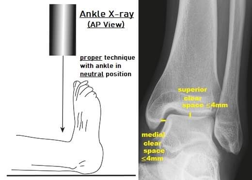 Physiotherapy clinic in Tambaram
Are you Looking f... main image