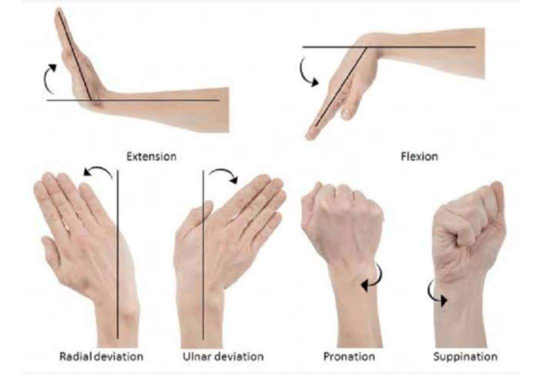 Physiotherapy clinic in Tambaram
Are you Looking f... main image