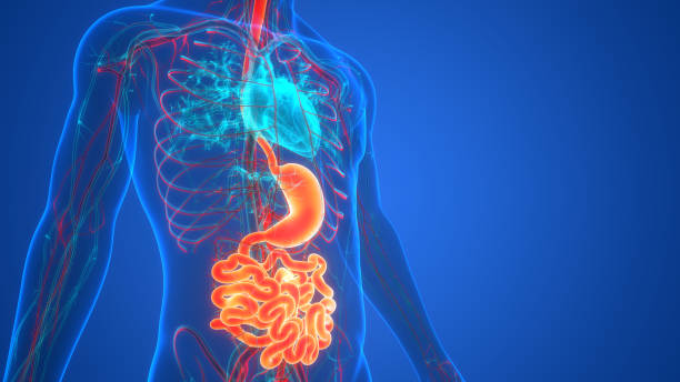 Specialized Gastroenterology Care at S A Hospit... main image