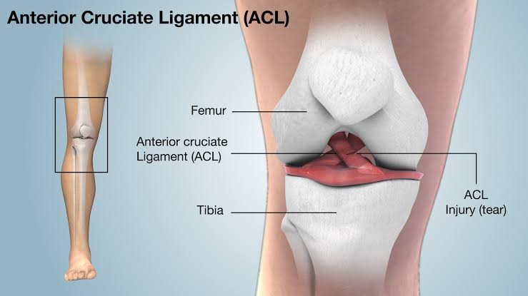 Physiotherapy clinic in Tambaram
Are you Lookin... main image