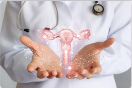 Leading the Way in Gynecology: LifeShell Hospit... main image