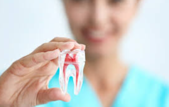 Best Root Canal Specialist in Nagpur - Mogre De... main image