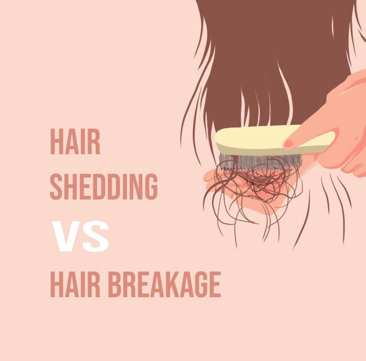 Shedding vs Breakage ! 
How do you tell them apart... main image