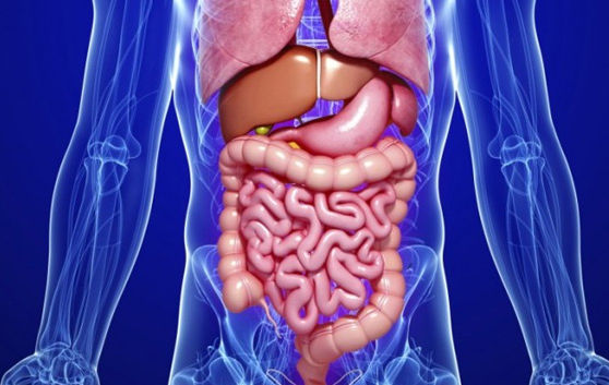 Best Gastroenterology Care Near Me at Medinova Sup... main image