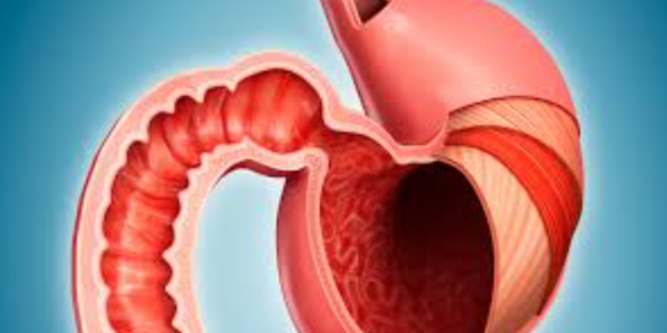 Advanced GI Surgeries at Medinova Super Speciality... main image
