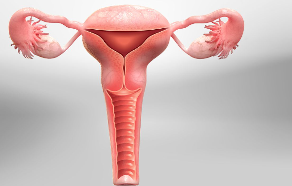 Hysterectomy Hysterectomy Procedures at Green C... main image