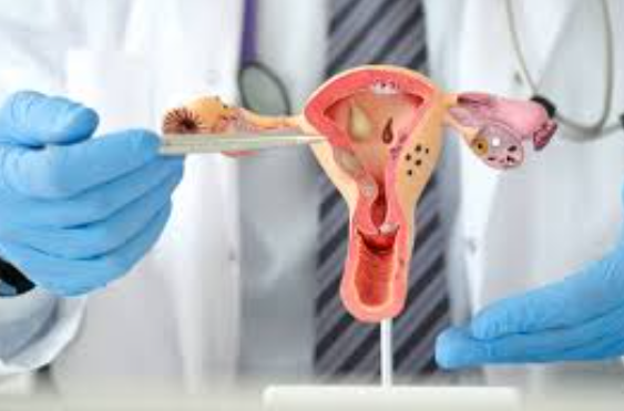 Gynecology Care at LifeShell Hospital, Nashik C... main image