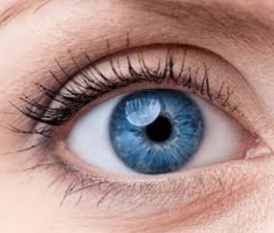 Effective Retina Tre