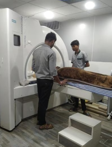 MRI Services at Matrix Scan Centre, Nashik Best... main image