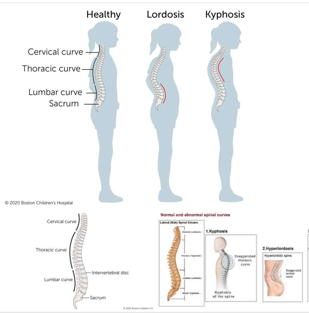 Physiotherapy clinic in Tambaram
Are you Lookin... main image