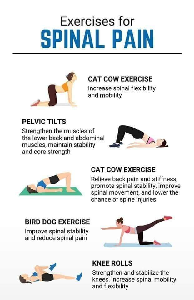 Physiotherapy clinic in Tambaram
Are you Looking f... main image