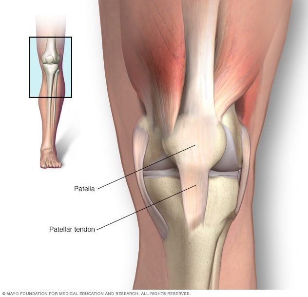 Physiotherapy clinic in Tambaram
Are you Looking f... main image