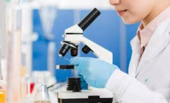 Diagnostics Services at Matrix Scan Centre, Nas... main image