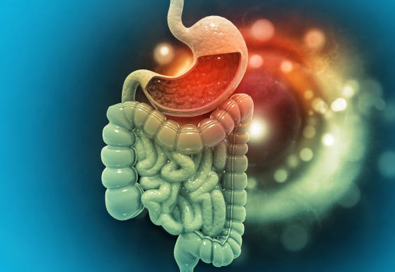 Gastro Surgery in Rajkot at Vedant Hospital Spe... main image