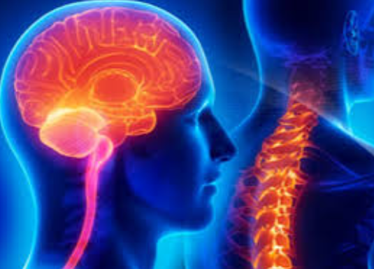 Best Neuro and Spine Surgery in Rajkot – Vedant... main image