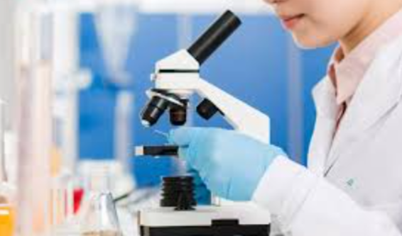 Diagnostics Services at Matrix Scan Centre, Nashik... main image