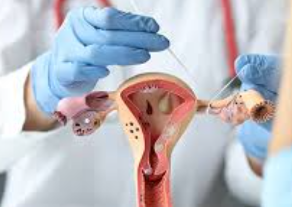 Gynecological Services Near Me at S A Hospital, Ch... main image