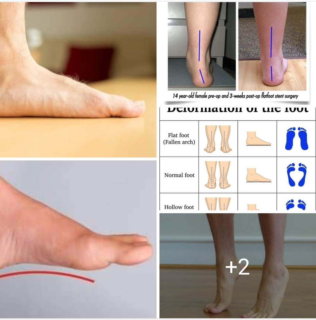 Physiotherapy clinic in Tambaram
Are you Looking f... main image
