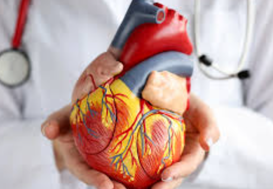 Cardiology Services at LifeShell Hospital, Nash... main image