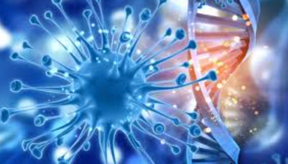 State-of-the-art diagnostic Facilities at LifeS... main image