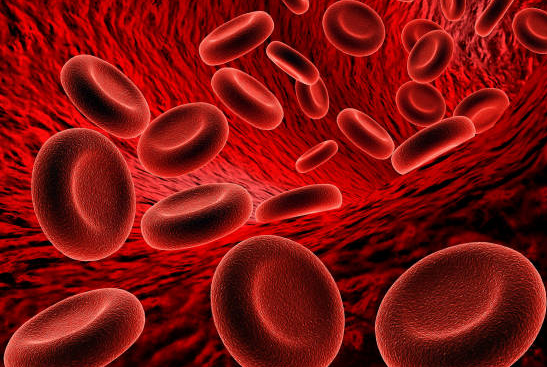 Bleeding Disorder Treatment at S A Hospital, Ch... main image